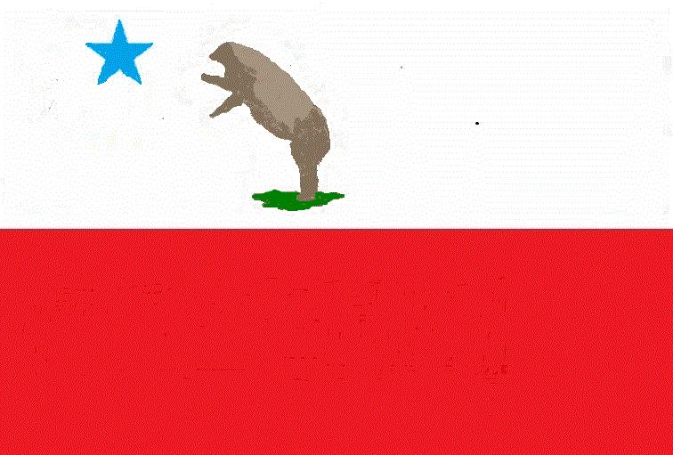 texas flag 1846