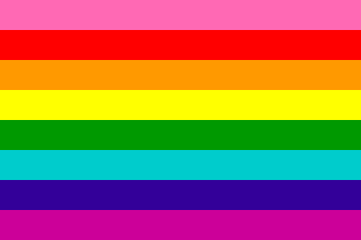US Rainbow Glory Flag 3x5 ft Pink Triangle Gay Lesbian LGBT Pride USA America 840806113623 